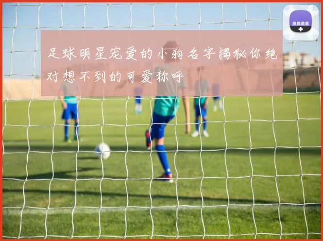足球明星宠爱的小狗名字揭秘你绝对想不到的可爱称呼