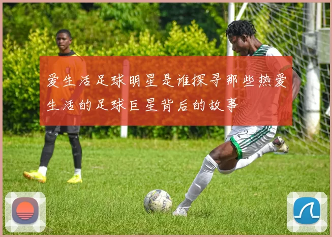 爱生活足球明星是谁探寻那些热爱生活的足球巨星背后的故事