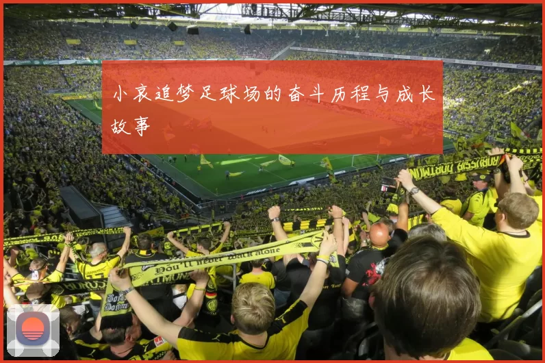 小哀追梦足球场的奋斗历程与成长故事