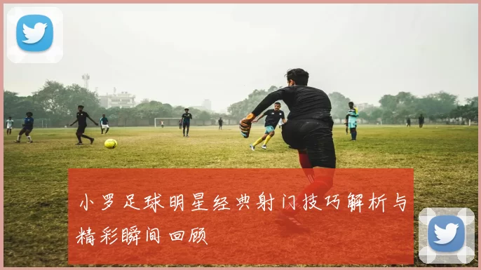 小罗足球明星经典射门技巧解析与精彩瞬间回顾
