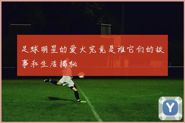 足球明星的爱犬究竟是谁它们的故事和生活揭秘