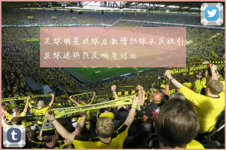 足球明星进球后激情扔球衣庆祝引发球迷热烈反响与讨论