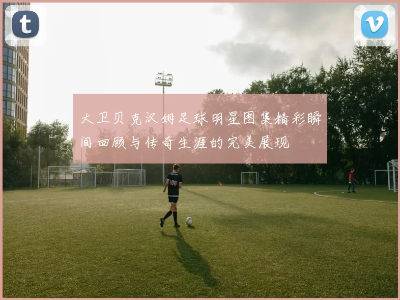大卫贝克汉姆足球明星图集精彩瞬间回顾与传奇生涯的完美展现