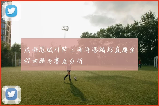 成都蓉城对阵上海海港精彩直播全程回顾与赛后分析