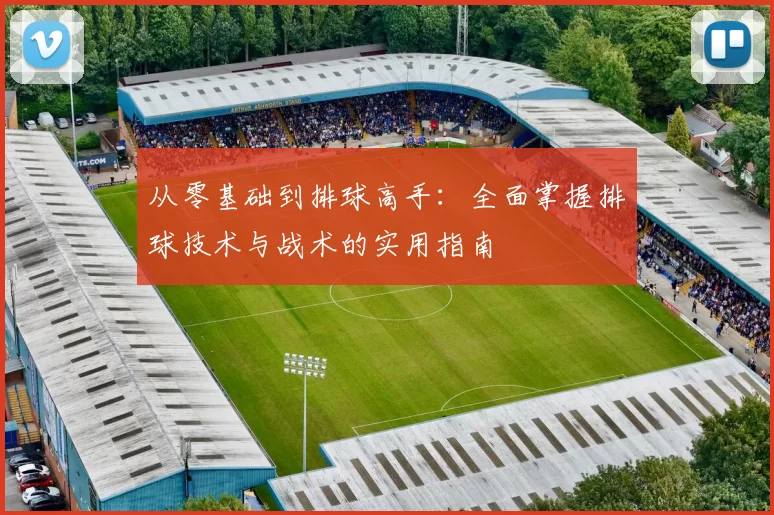 从零基础到排球高手：全面掌握排球技术与战术的实用指南