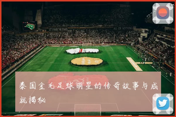 泰国金毛足球明星的传奇故事与成就揭秘