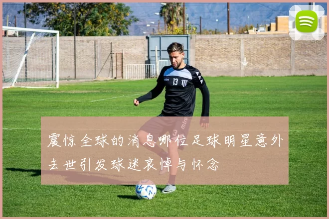 震惊全球的消息哪位足球明星意外去世引发球迷哀悼与怀念